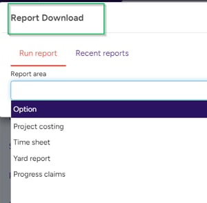 Report options-15216