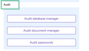 audit log-replacement-APA-4b